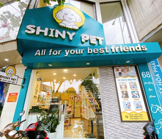 CÁC MẪU BẢNG HIỆU PET SHOP ĐẸP, THỊNH HÀNH NHẤT HIỆN NAY CÁC MẪU BẢNG HIỆU PET SHOP ĐẸP, THỊNH HÀNH NHẤT HIỆN NAY